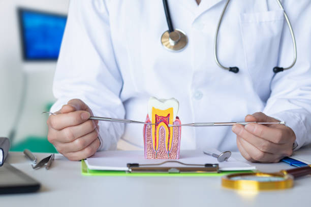 Best Emergency Dentist for Knocked-Out Tooth in Shavano Park, TX